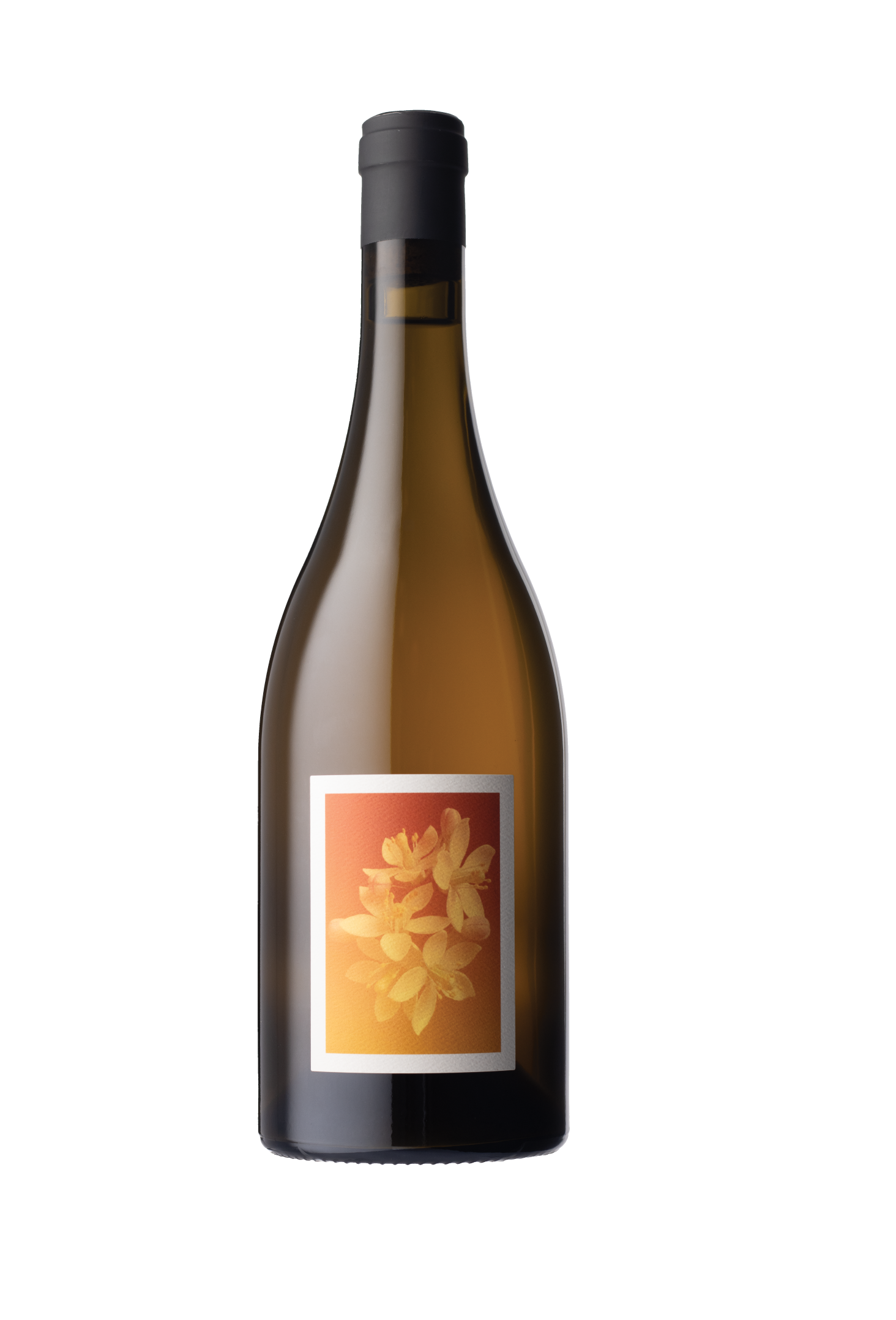 Glaetzer Amon-Ra Shiraz 2020 – Wine Republic
